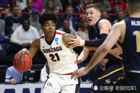 今年会官方入口-汉堡水手队迎来强劲对手，以弱胜强震惊全场！的简单介绍